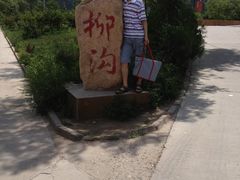 -柳沟豆腐宴义豆堂24号农家院