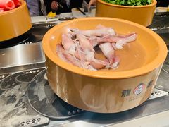 -龍歌自助小火锅(崂山丽达店)