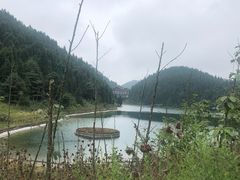 -武陵山森林公园