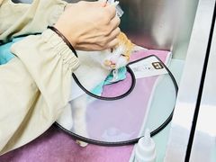 -派美特宠物医院·核磁CT·骨科肿瘤·疑难转诊(沈农禾丰店)