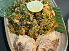 -Ameigo梅果·云贵川bistro(长宁来福士店)