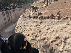 -石家庄市动物园