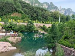 -王莽岭风景区