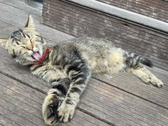 -小众香港茶餐厅(金山店)