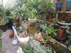 -金陵花卉交易市场