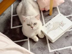 -PETKIT小佩宠物(古北店)