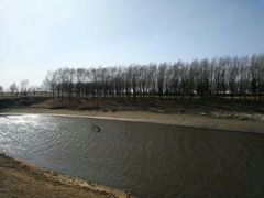 -蒲河岛湿地公园