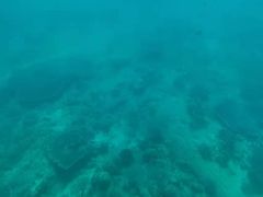 -亚龙湾海底世界