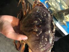 -盒马鲜生(莱蒙都会店)