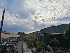 -蘇河湾·新鲁菜·泰山宴(泰山店)