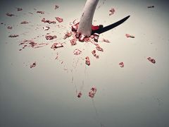 -上海当代艺术博物馆