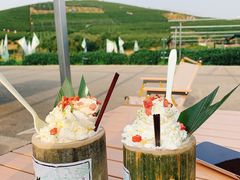 -龙坞茶村