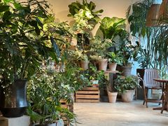 -自由生长植物工作室(深港花卉中心店)
