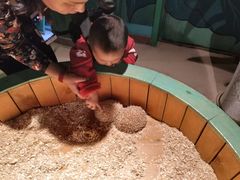 -萌宠奇缘