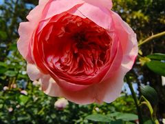 -人民公园(罗湖区)