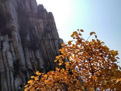 -嵩山少林文化旅游景区