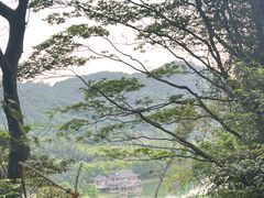 -水濂山森林公园