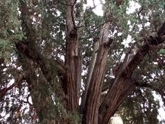 -四门塔风景区
