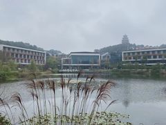 -铁山坪森林公园