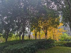 -唐城墙遗址公园