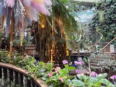 -正佳雨林生态植物园
