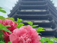 -六和塔文化公园
