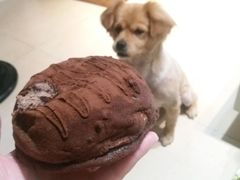 -BOKE博稞烘焙(天佑城店)