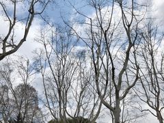 景观位-莹珠阁·私房菜