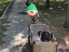 -北陵公园