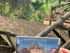 -海南槟榔谷黎苗文化旅游区