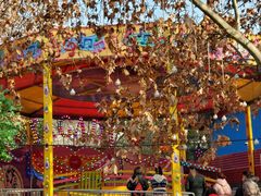 -西安市长乐公园