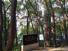 -马王堆汉墓遗址