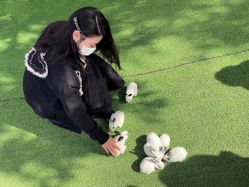 -萌宠亲子动物乐园(槐房万达店)