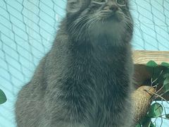 -青藏高原野生动物园