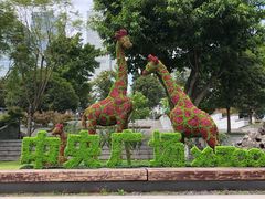 -重庆市江北嘴中央商务区中央公园