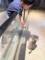 -酷嗒动物文化乐园(cutezoo西溪乐天城店)