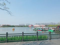 -上海长兴岛郊野公园