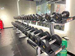 -健身专家Wellness Experts