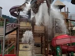 -重庆海昌加勒比海水世界