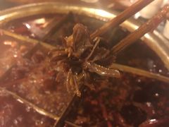 -邓莽子老火锅(鲁祖庙店)