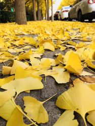 -UP&UP·半永久眉毛眼线机器野生眉