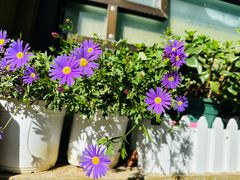 -三忘湖 SWANSEEN(柳荫公园店)