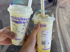 -一只酸奶牛(八一路店)