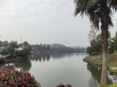 -枫香湖儿童公园