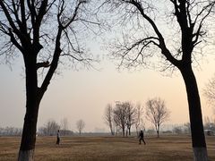 -汉长安城未央宫国家考古遗址公园