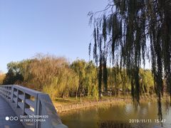 -大兴滨河森林公园