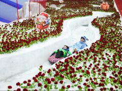 -广州热雪奇迹