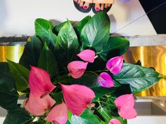 -南京时尚莱迪购物广场(正洪街店)