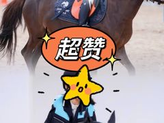 -骑乐马术(广州奥体优托邦中心)