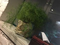 -不舍昼夜咖啡馆